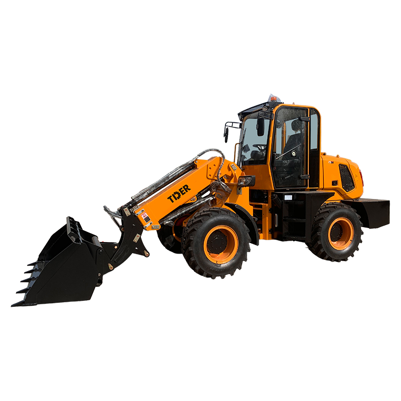 Telescopic Loader